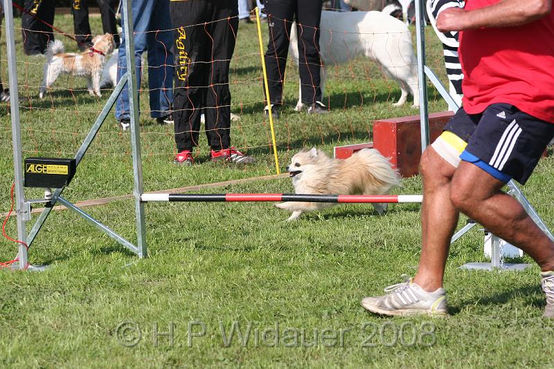 jubil.lusten. 191.jpg